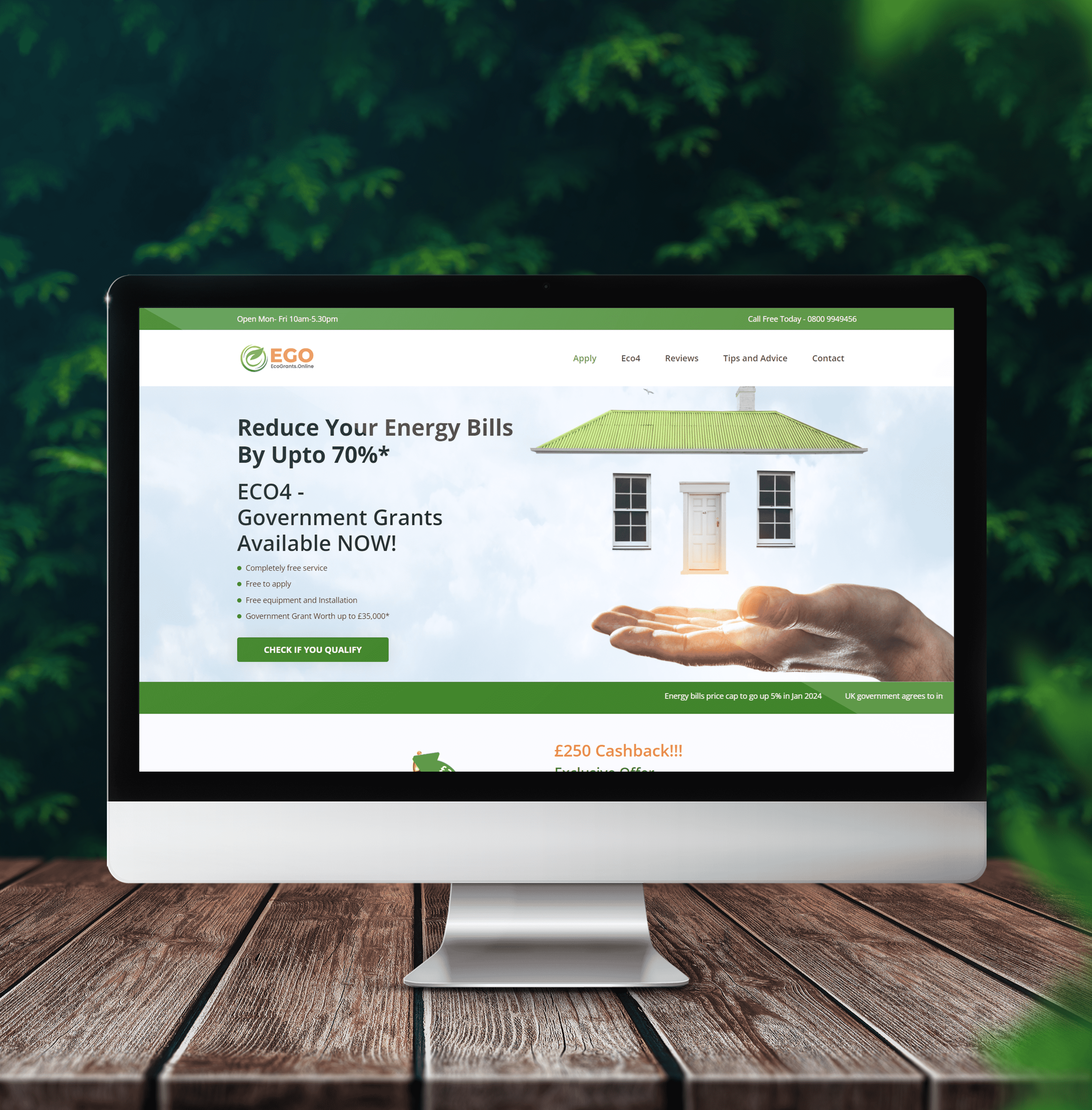 Branding & UI/UX Case Study